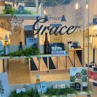 Indoor garden with greenery, workspace, and window view