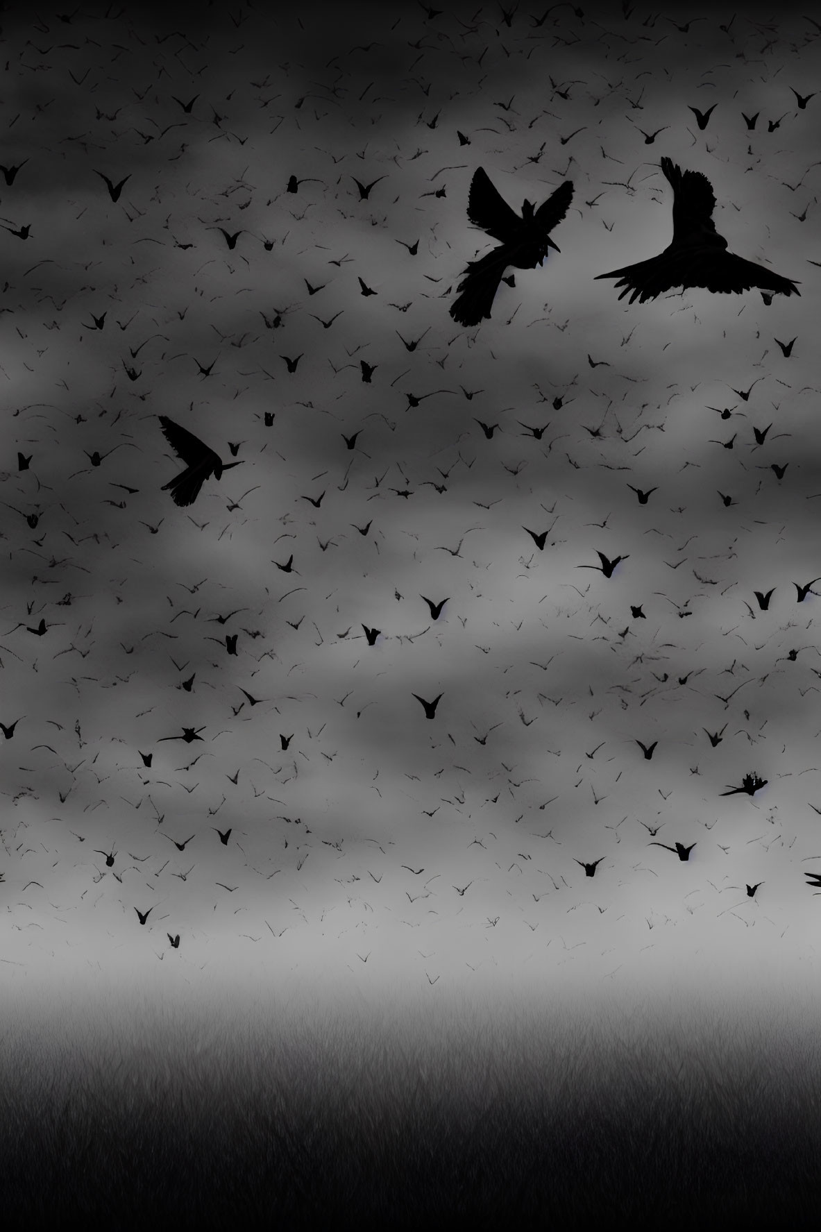 Monochrome image of birds in flight over grass, with close-up of detailed wings