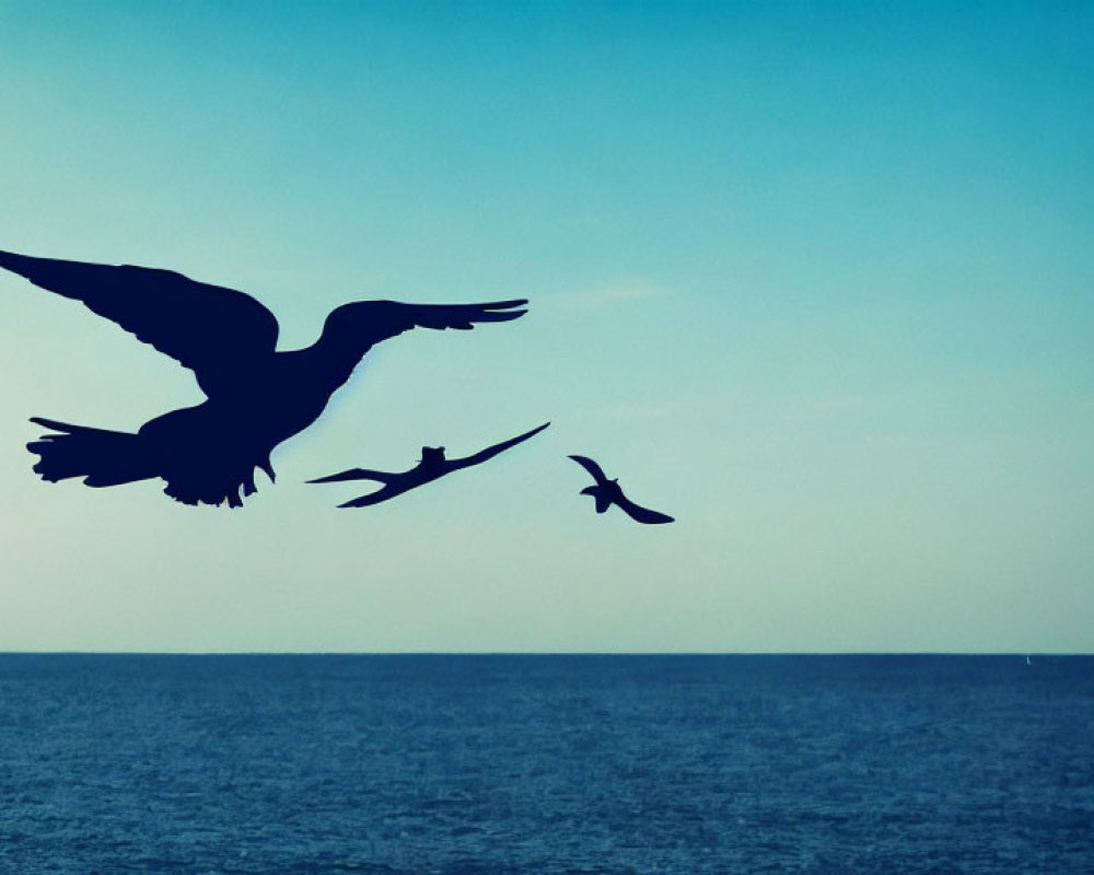 Three Birds Silhouetted Flying Over Sea at Dusk