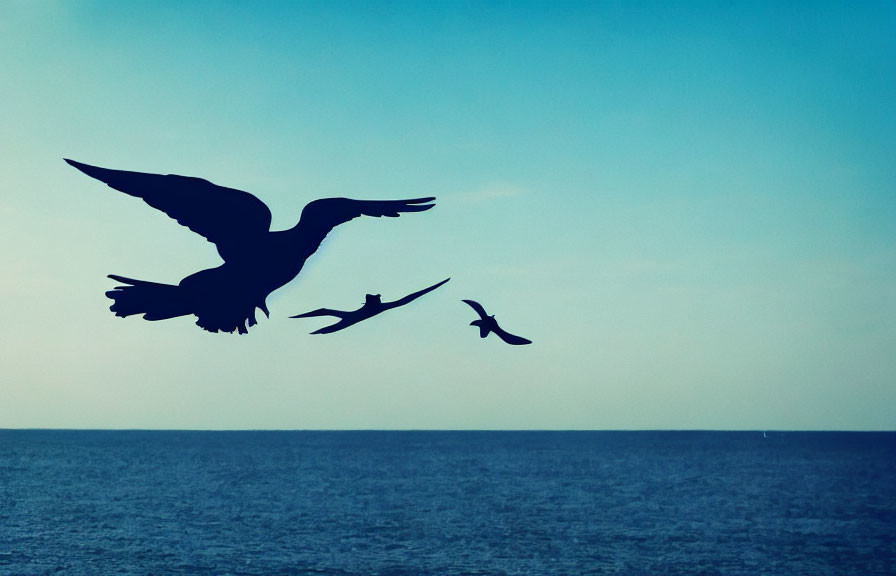 Three Birds Silhouetted Flying Over Sea at Dusk