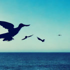 Three Birds Silhouetted Flying Over Sea at Dusk