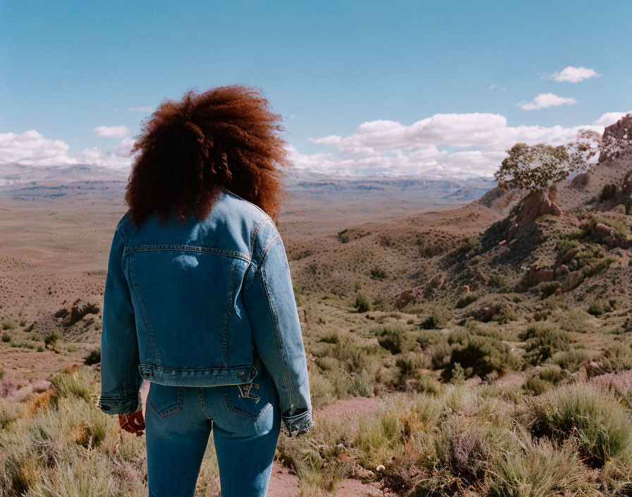 Voluminous hair person in denim jacket against arid landscape