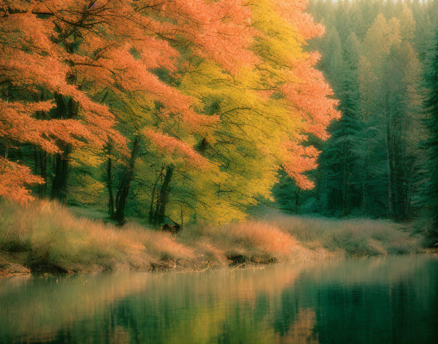 Tranquil autumn forest scene with vibrant orange leaves reflected in lake