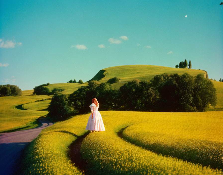 Person in pink top and white skirt in vibrant flower field with crescent moon in blue sky