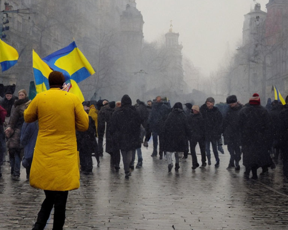 Crowd with various flags in city street on misty day.