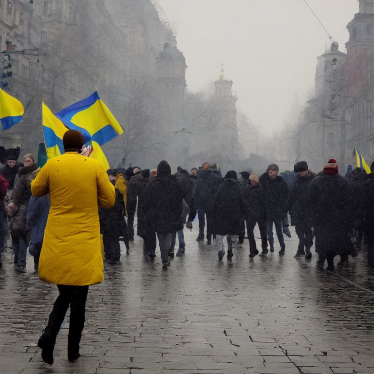 Crowd with various flags in city street on misty day.