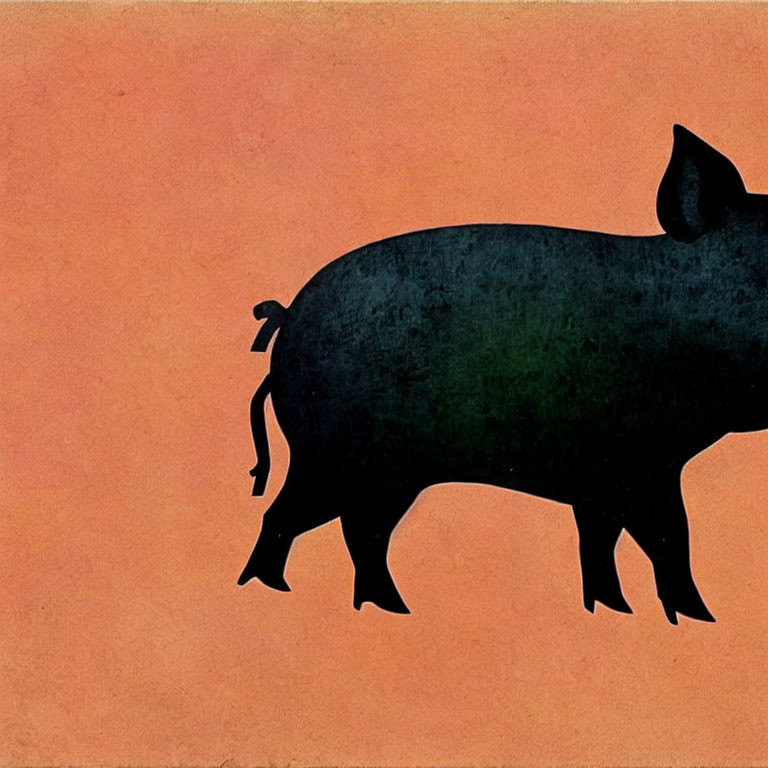 Stylized pig silhouette with human-like hand on terracotta background