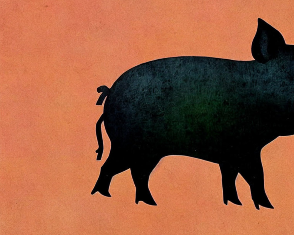 Stylized pig silhouette with human-like hand on terracotta background