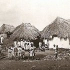 Traditional Thatched Huts Surrounded by Palm Trees and Dusty Ground