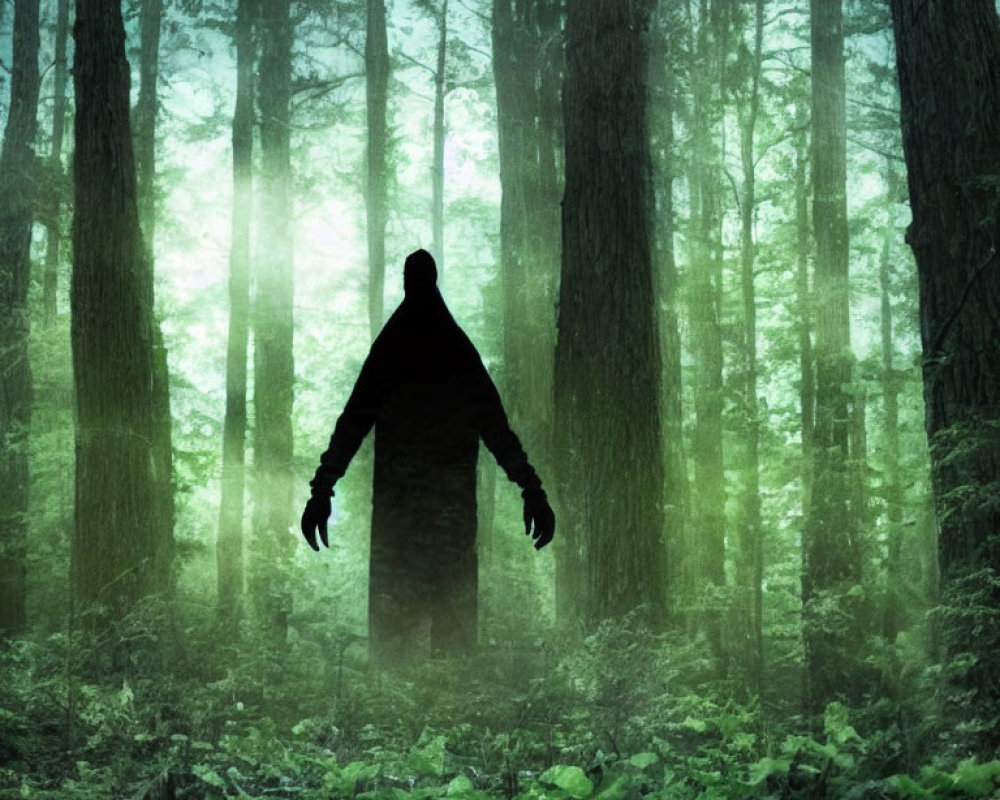 Mysterious figure silhouette in foggy green forest with sunlight.