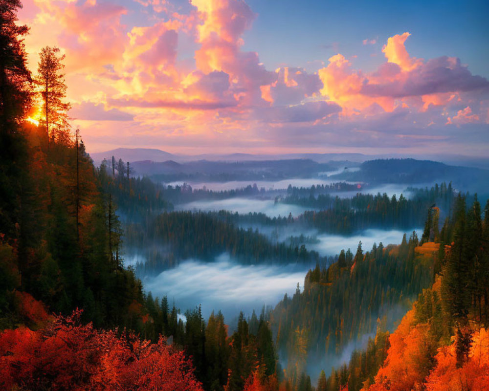 Scenic sunrise over misty autumn forest with dramatic sky