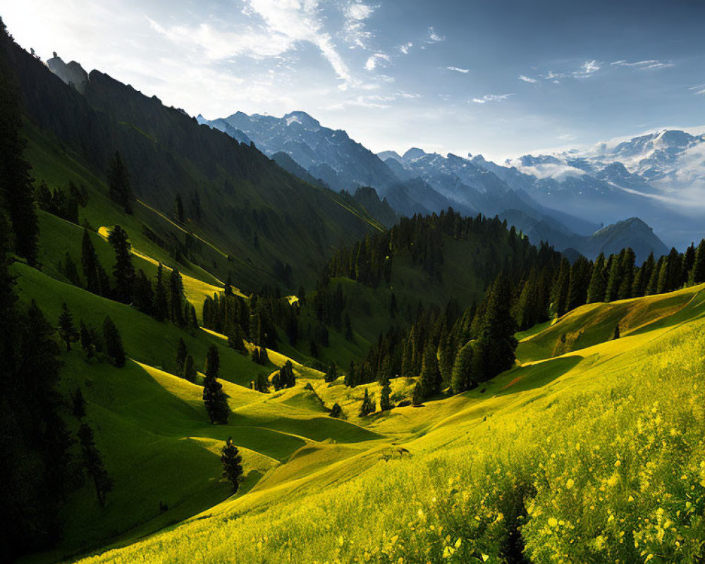 Scenic landscape with green hills, dramatic sky, mountains, and wildflowers