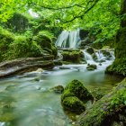 Tranquil forest scene with river, stones, and autumn trees