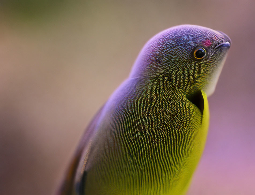 Small green bird with gradient plumage and sharp beak on colorful background