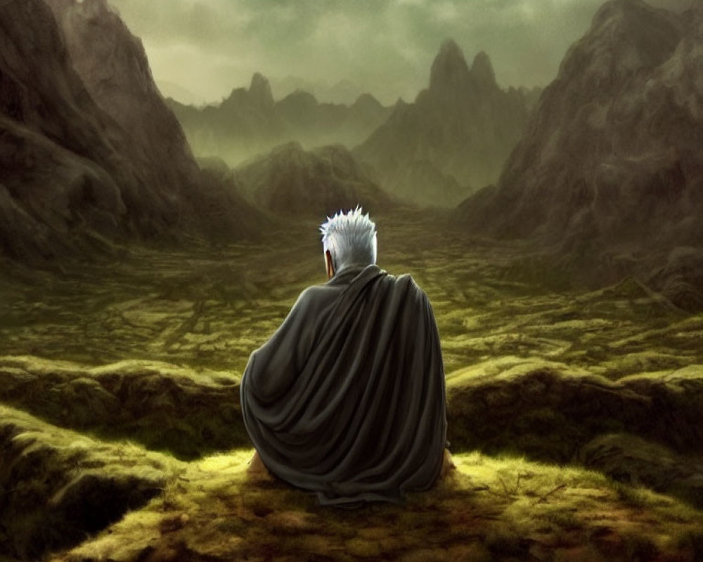 White-Haired Figure in Dark Cape Amidst Gloomy Landscape