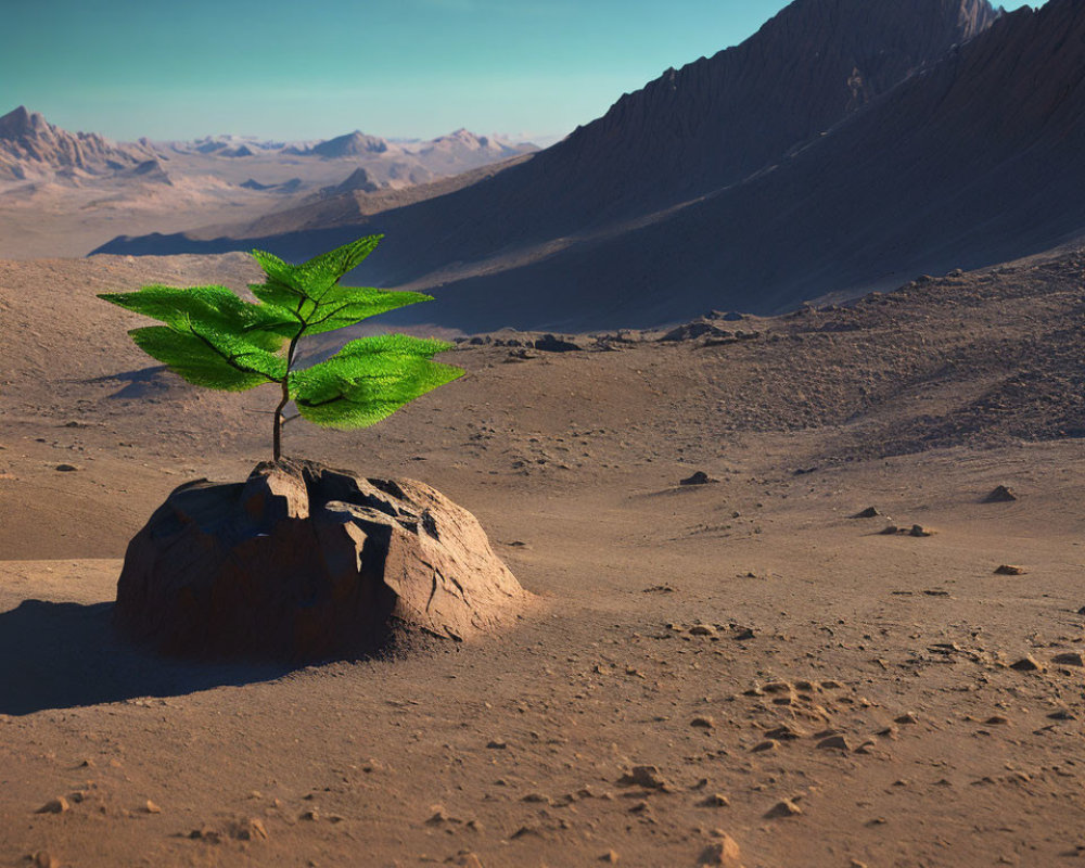 Lush green sapling against desert backdrop