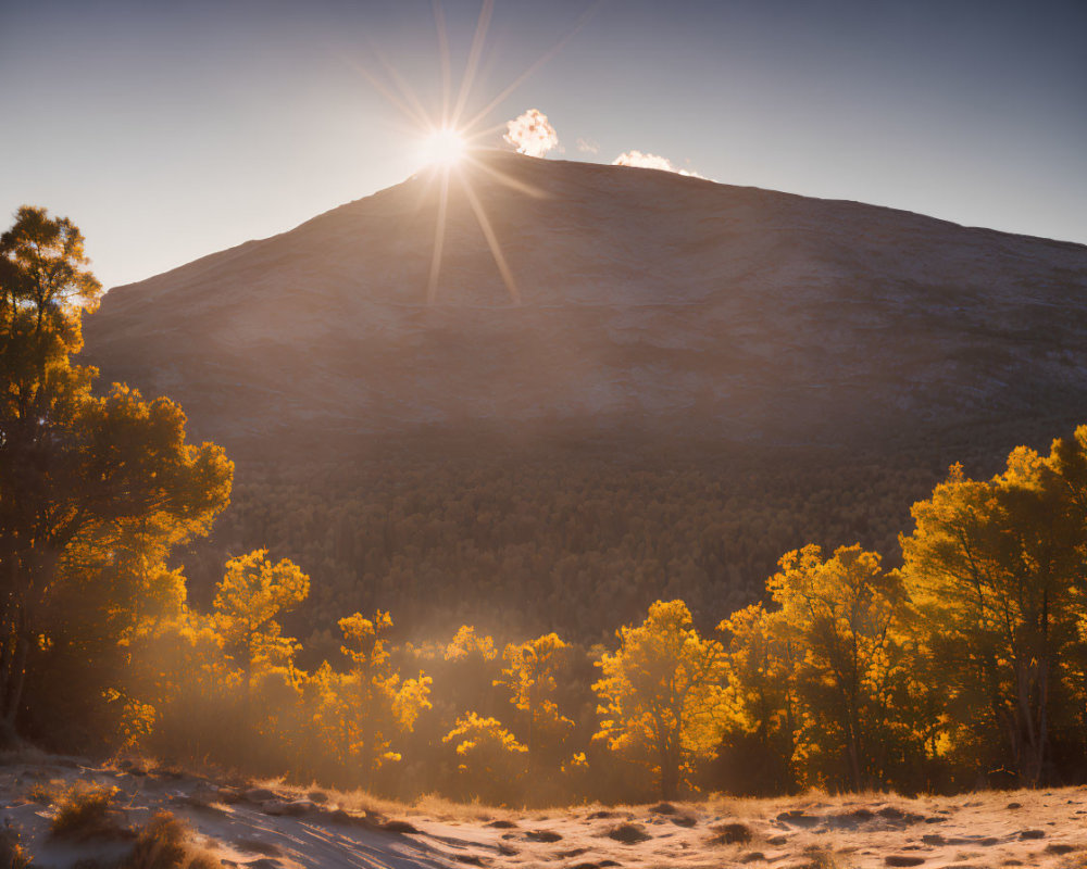 Mountain sunrise with golden leaves and snow-dusted ground