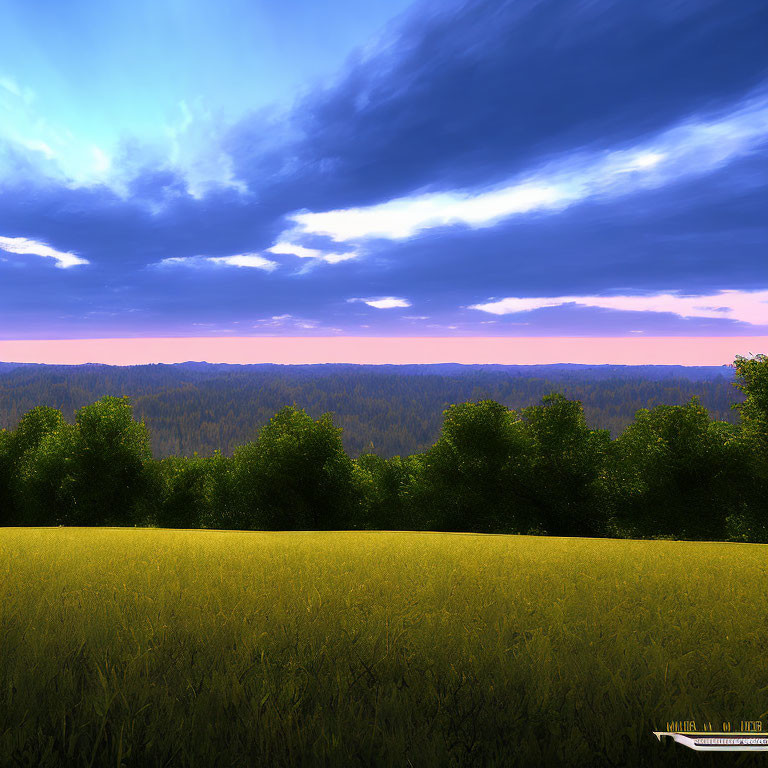 Golden wheat field under dramatic twilight sky with forest in distance