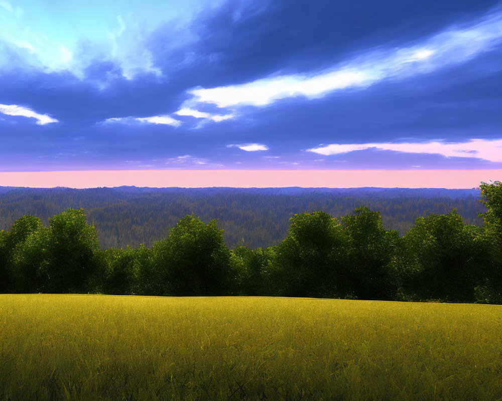 Golden wheat field under dramatic twilight sky with forest in distance