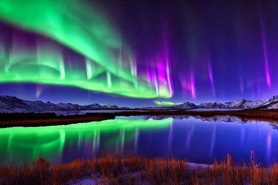 Aurora Borealis Reflecting on Calm Lake Amid Snowy Mountains