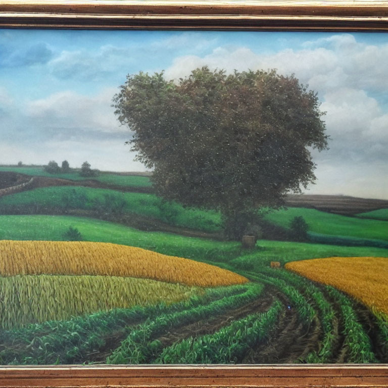 Vibrant rural landscape with large tree, textured fields, and blue sky