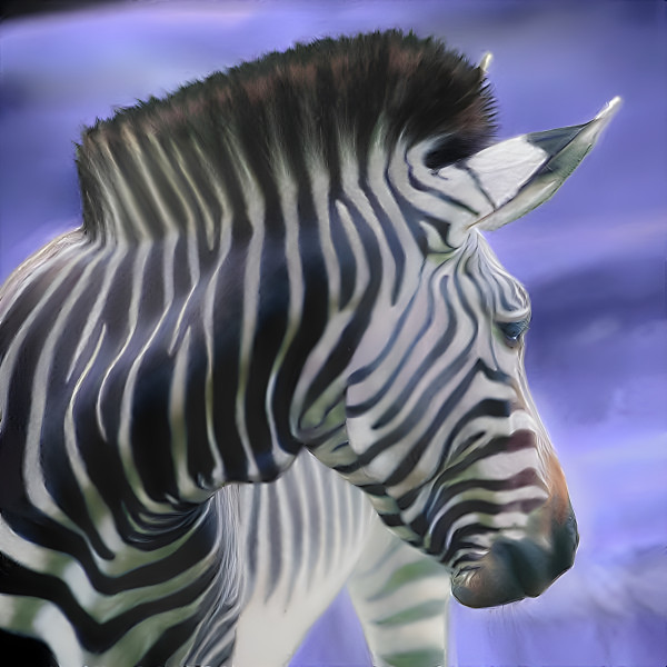 zebra look