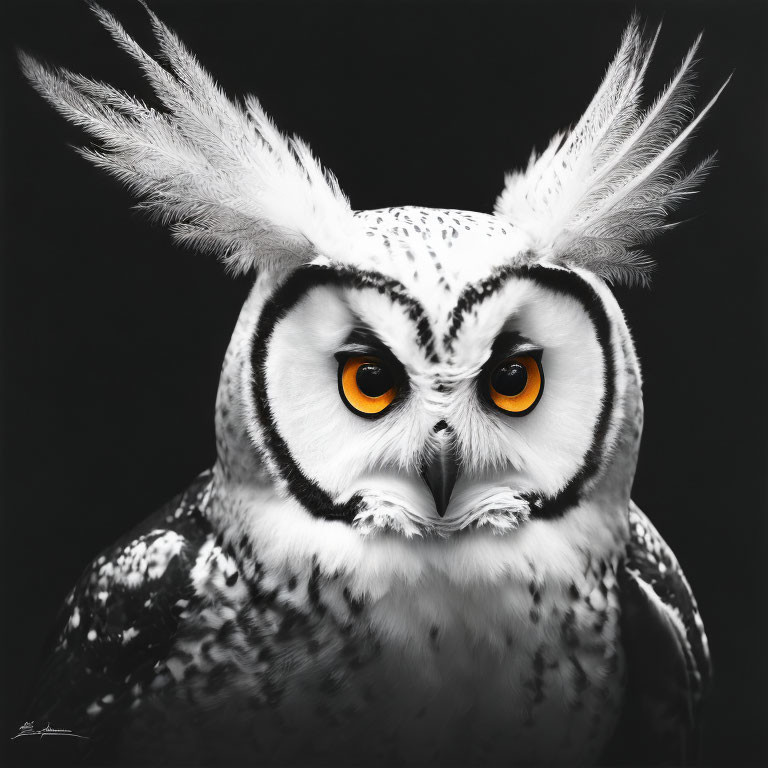 White and Grey Owl Portrait with Orange Eyes and Ear Tufts