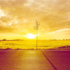 Golden sunset silhouettes palm trees, birds, and people in serene scene