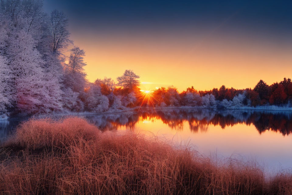 Tranquil sunset scene with frost-covered trees and golden reeds