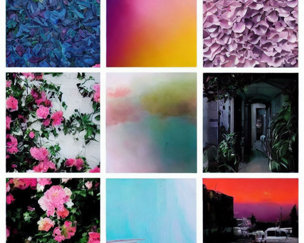 Collage of Nine Images: Leaves, Gradients, Flowers, Landscapes, Urban Scenes