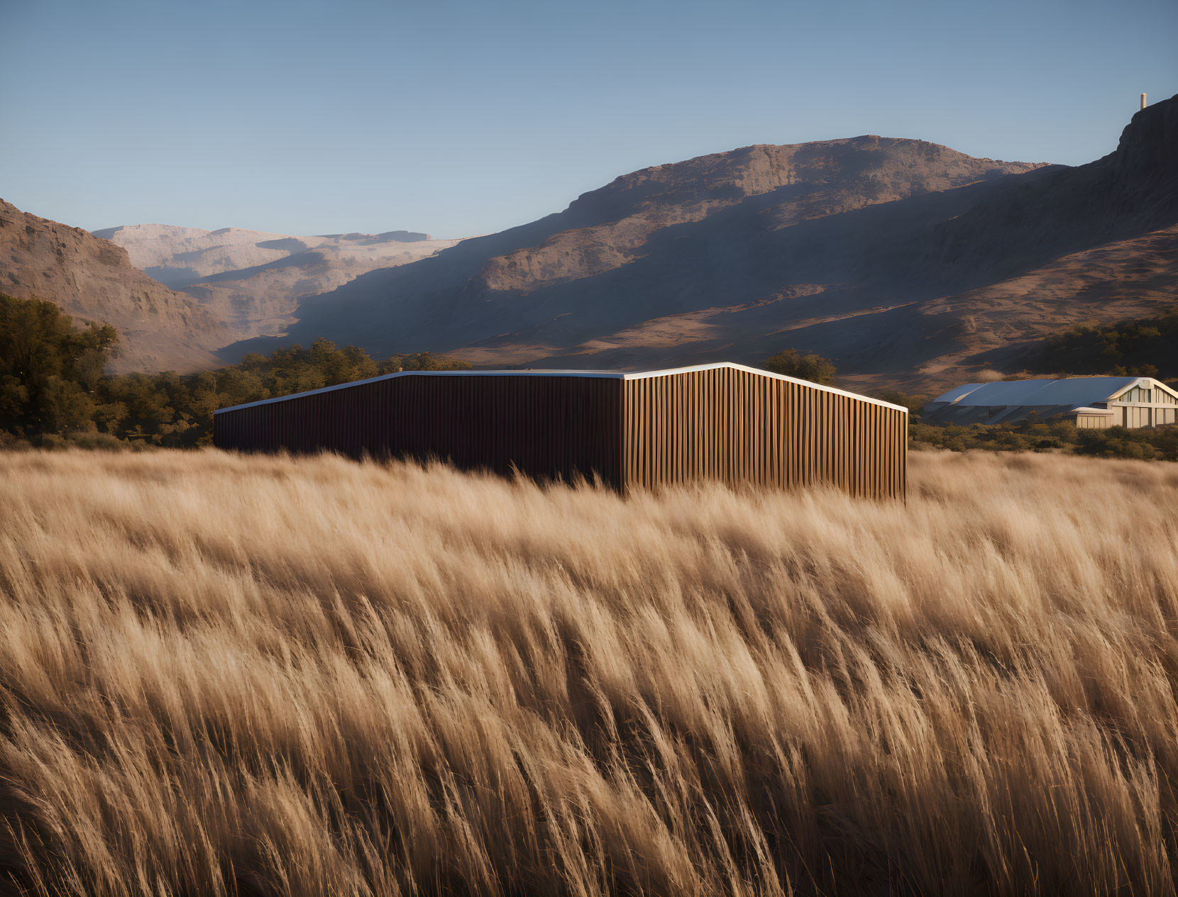 Modern building with vertical wooden slats in golden grass field at sunset