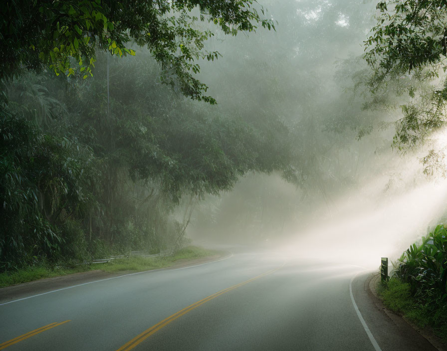 Misty Road Through Lush Forest with Sunlight and Fog