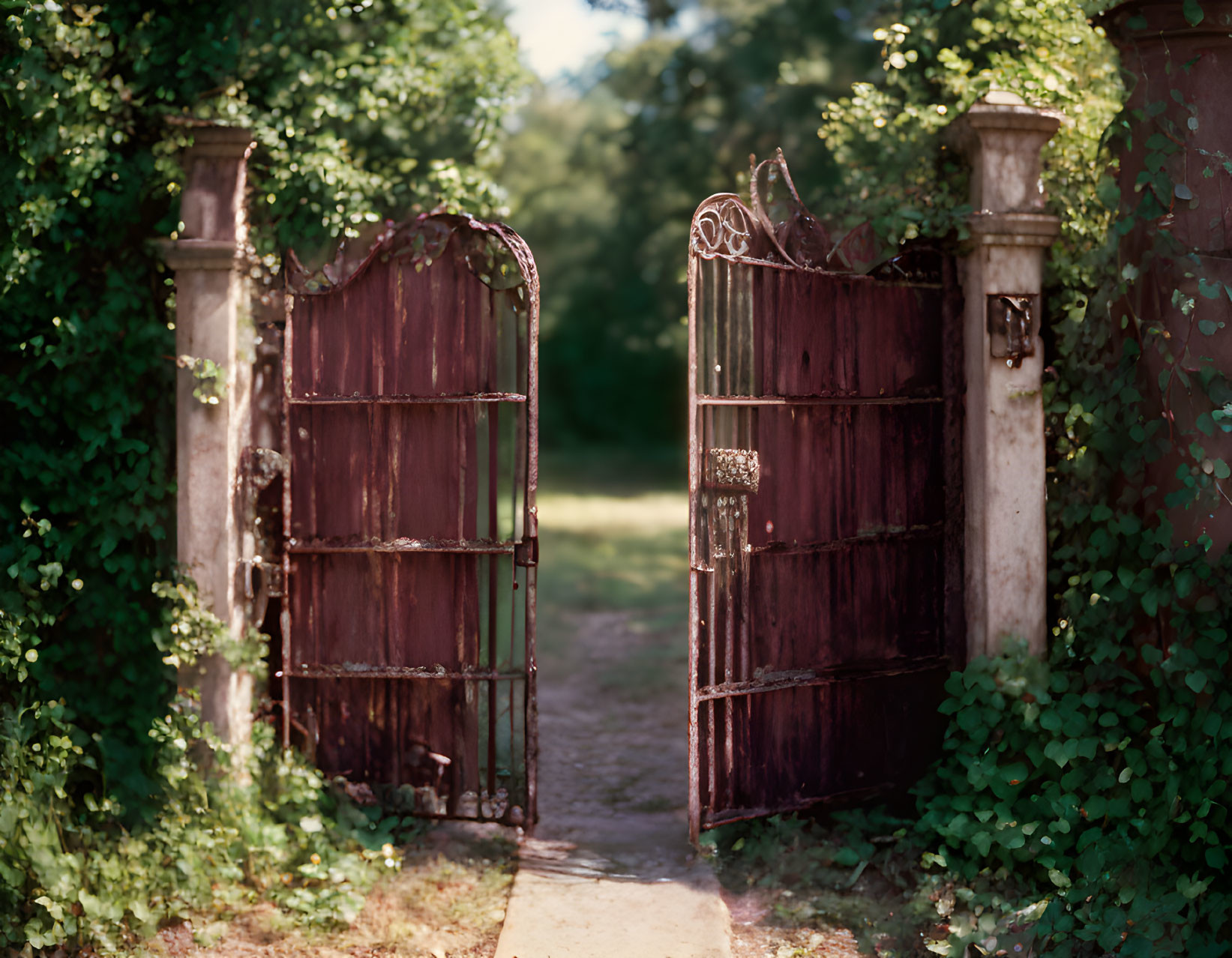 Rusty ornate gate in lush green setting under warm sunlight