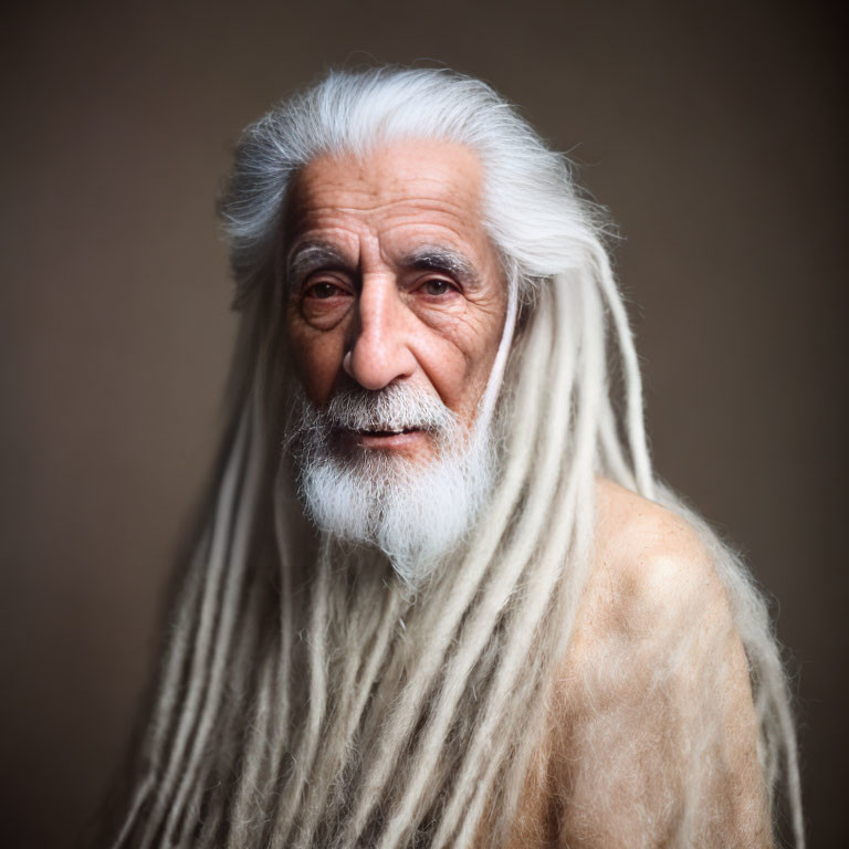 Elderly man with long white beard and dreadlocks in serene portrait.