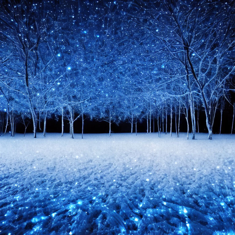 Blue-toned mystical forest with starry trees and sparkling ground.