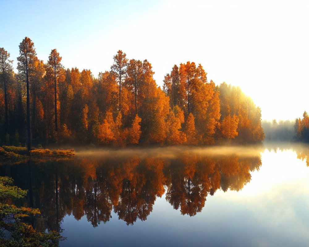 Tranquil lake reflecting autumnal forest under misty sunrise