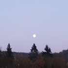 Giant moon over misty forest under cloudy sky