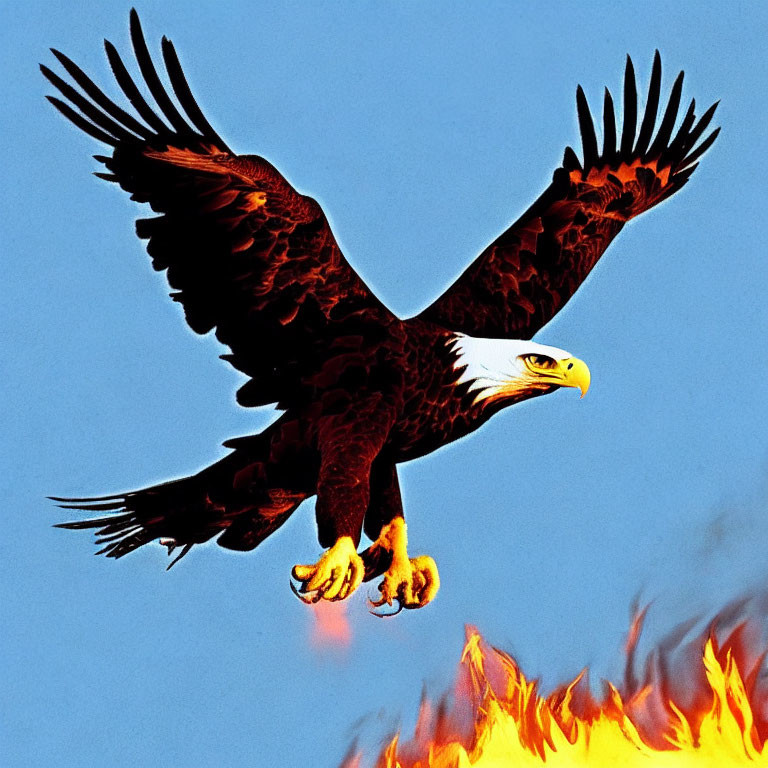 Illustration of eagle soaring with spread wings and talons against blue sky and flames below