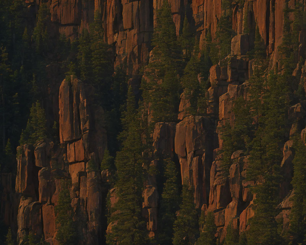 Majestic cliffs with vertical rock formations and lush coniferous trees