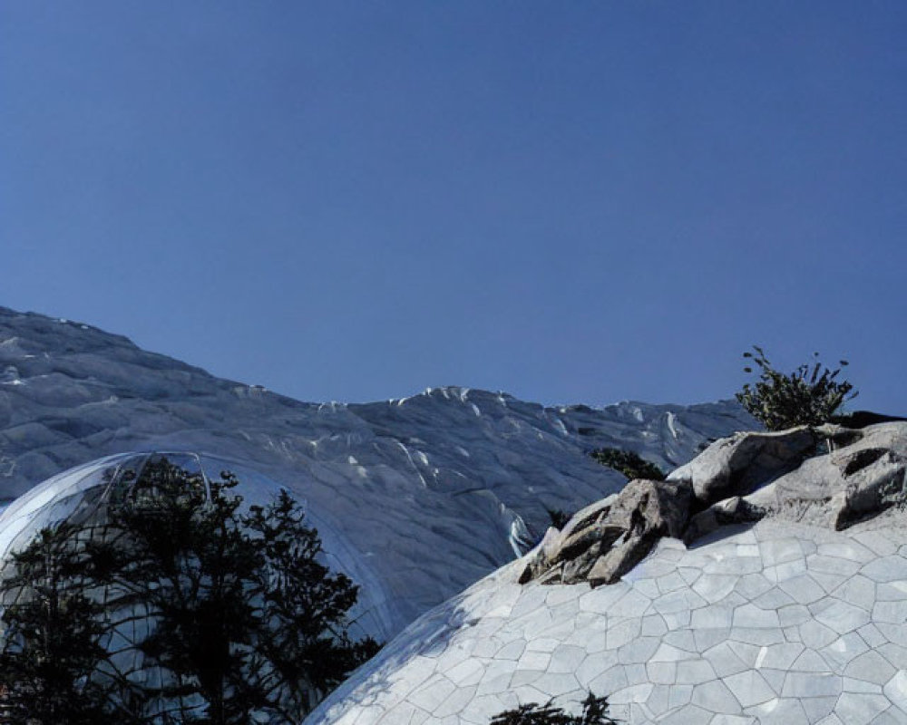 Geodesic domes with intricate white patterns under clear blue sky