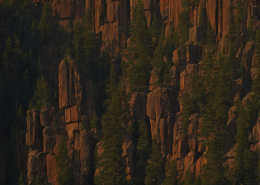 Majestic cliffs with vertical rock formations and lush coniferous trees