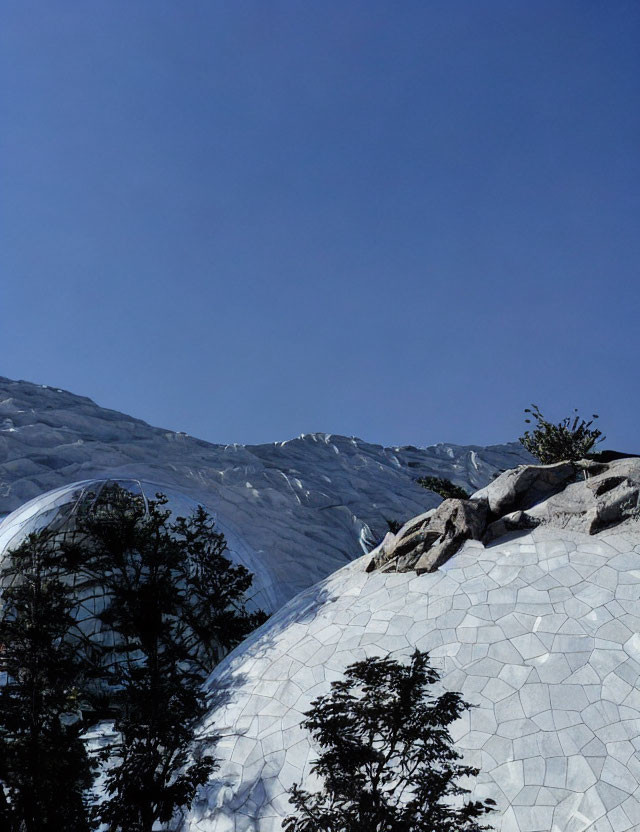 Geodesic domes with intricate white patterns under clear blue sky