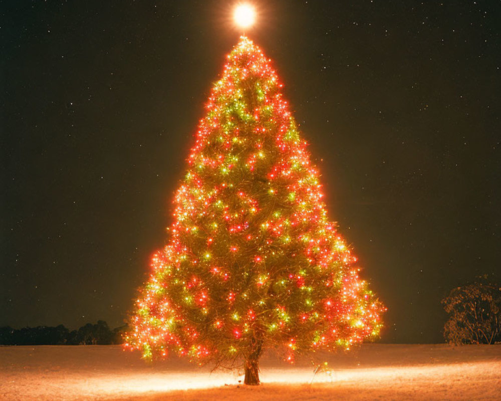 Illuminated Christmas tree under starry night sky with full moon