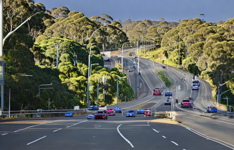 Curved Road with Vehicles and Green Trees on Cloudy Day