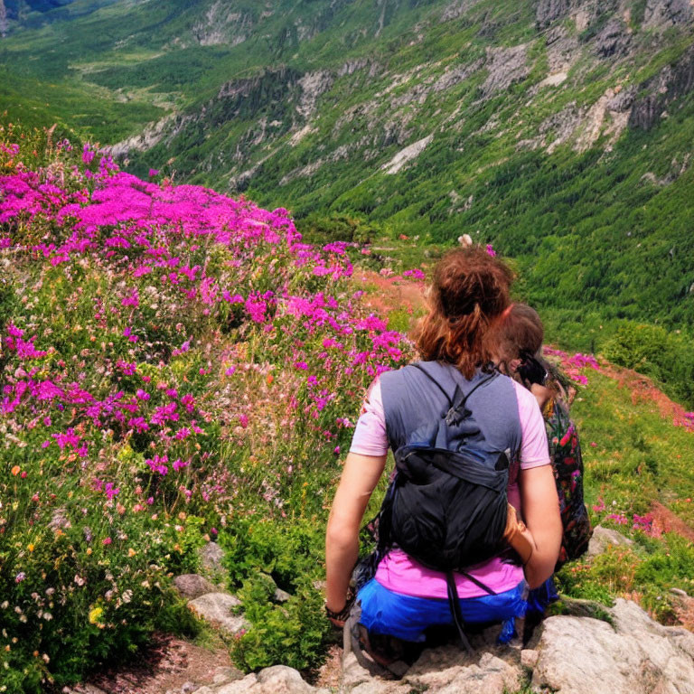 Hikers resting among pink flowers with mountain backdrop