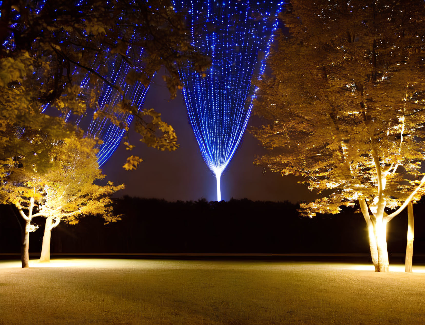 Night Scene: Illuminated Trees & Blue Light Cascade in Dark Sky