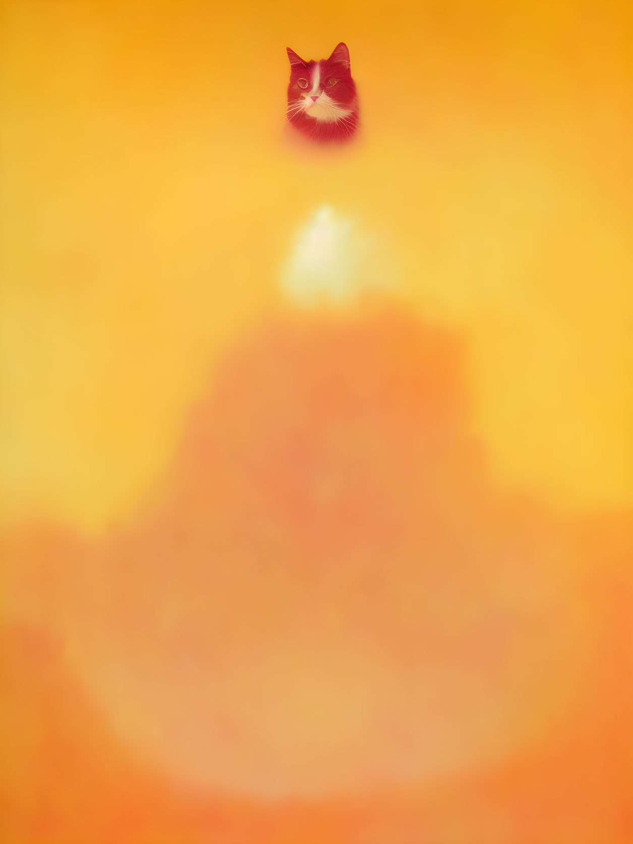 Floating cat head above blurry orange background.