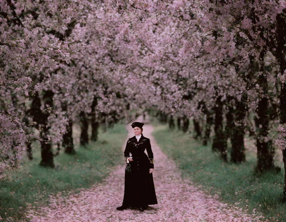 Person in vintage attire amidst blooming cherry blossom trees