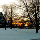 Barbecue grill with cooking meats against bare trees and dusky sky.