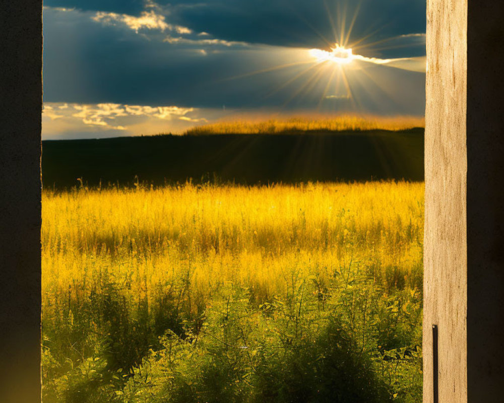 Sunbeams shining on golden field from concrete structure